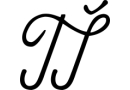 Logo of Tamy